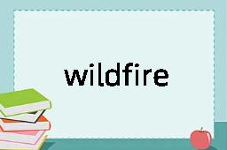 wildfire是什么意思