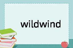 wildwind是什么意思