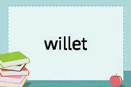 willet是什么意思