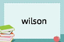 wilson是什么意思