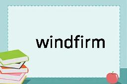 windfirm是什么意思