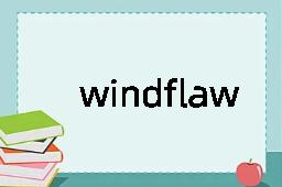 windflaw是什么意思