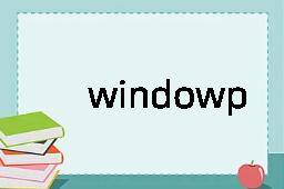 windowpane是什么意思