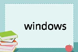 windows是什么意思