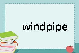 windpipe是什么意思