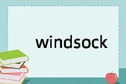 windsock是什么意思