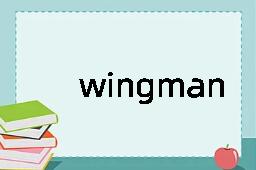 wingman是什么意思