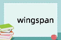 wingspan是什么意思