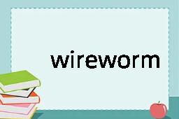 wireworm是什么意思