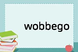 wobbegong是什么意思