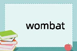 wombat是什么意思