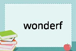 wonderfully是什么意思