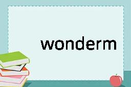 wonderment是什么意思