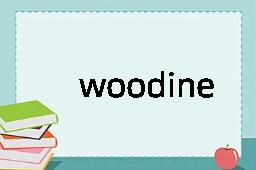 woodiness是什么意思