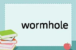 wormhole是什么意思