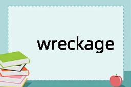 wreckage是什么意思