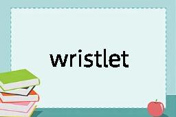 wristlet是什么意思