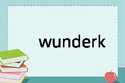 wunderkind是什么意思