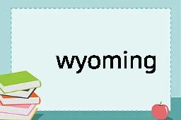 wyoming是什么意思