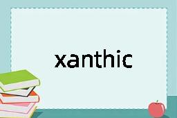 xanthic是什么意思