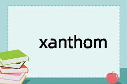 xanthomatosis是什么意思