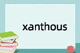 xanthous是什么意思