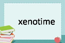 xenotime是什么意思