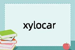 xylocarpous是什么意思