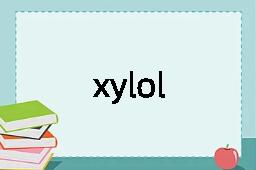 xylol是什么意思