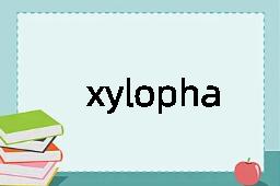 xylophagan是什么意思
