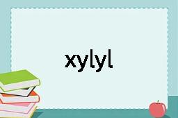 xylyl是什么意思