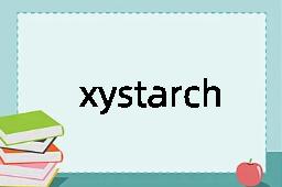 xystarch是什么意思