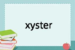 xyster是什么意思