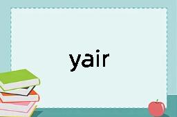 yair是什么意思