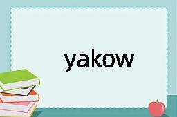 yakow是什么意思