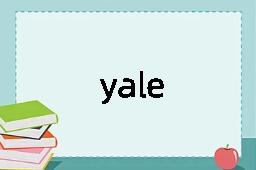 yale是什么意思