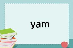 yam是什么意思