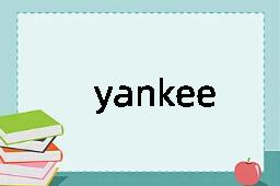 yankee是什么意思