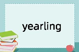 yearling是什么意思