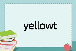 yellowthroat是什么意思
