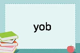 yob是什么意思