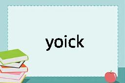 yoick是什么意思