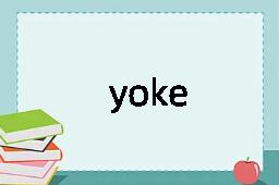yoke是什么意思