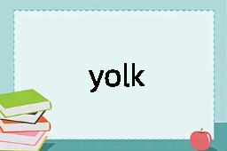 yolk是什么意思