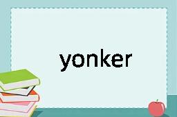 yonker是什么意思