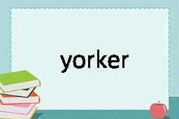 yorker是什么意思