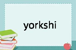 yorkshire是什么意思