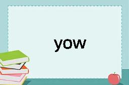 yow是什么意思