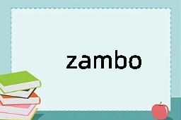 zambo是什么意思