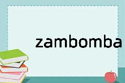 zambomba是什么意思